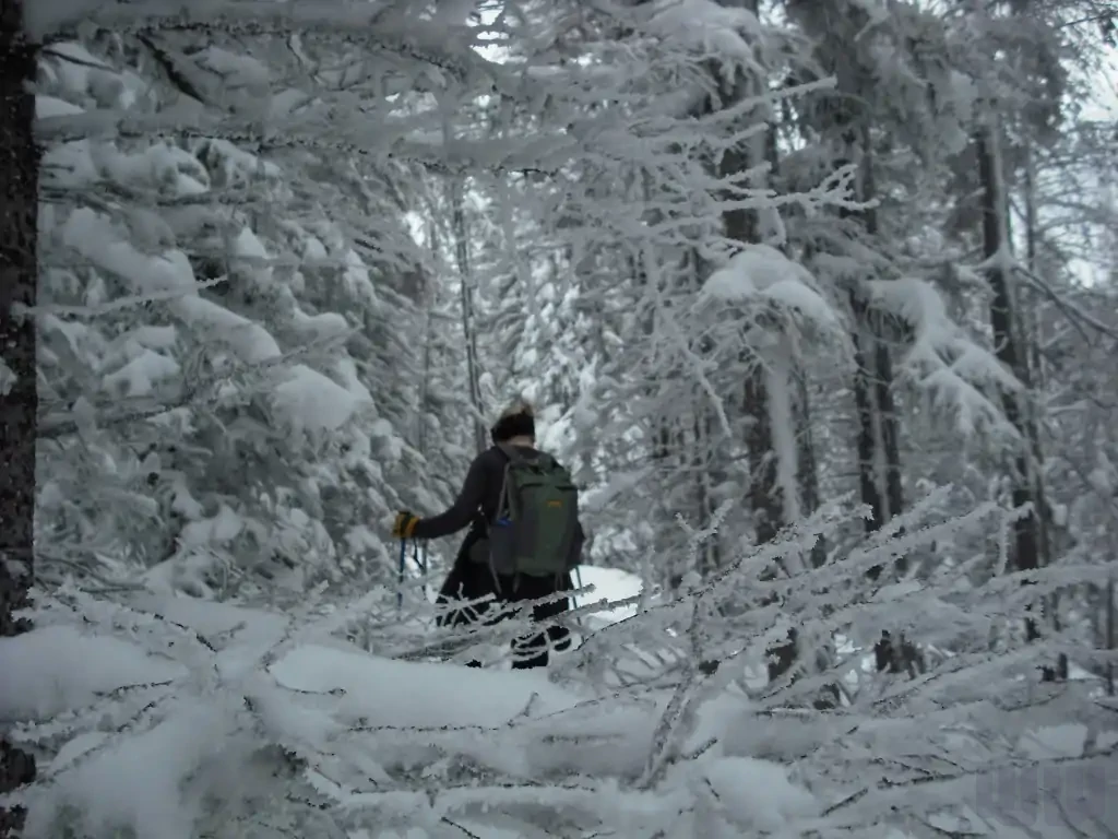 10th Mountain Division Backcountry Skiing